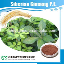 Ginseng de alta qualidade Siberian PE